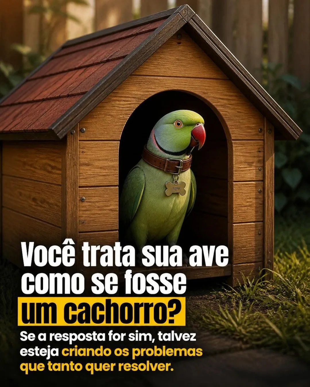 Como disciplinar a ave que bica e grita — slide 1 de 9